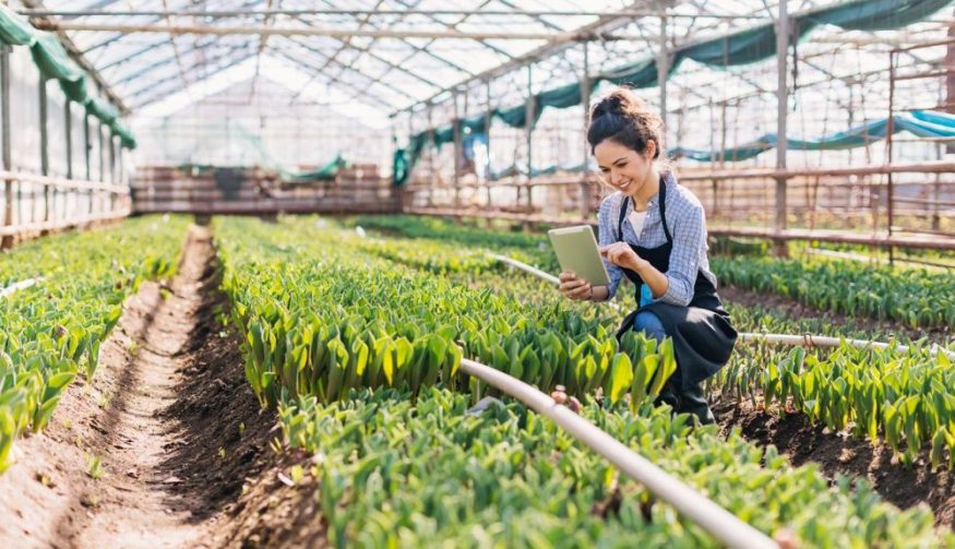 Formación gratuita para emprendedores de la Red Emprendeverde