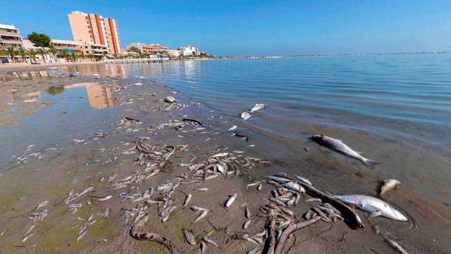 Mar Menor: 20 millones para redes de saneamiento y depuración