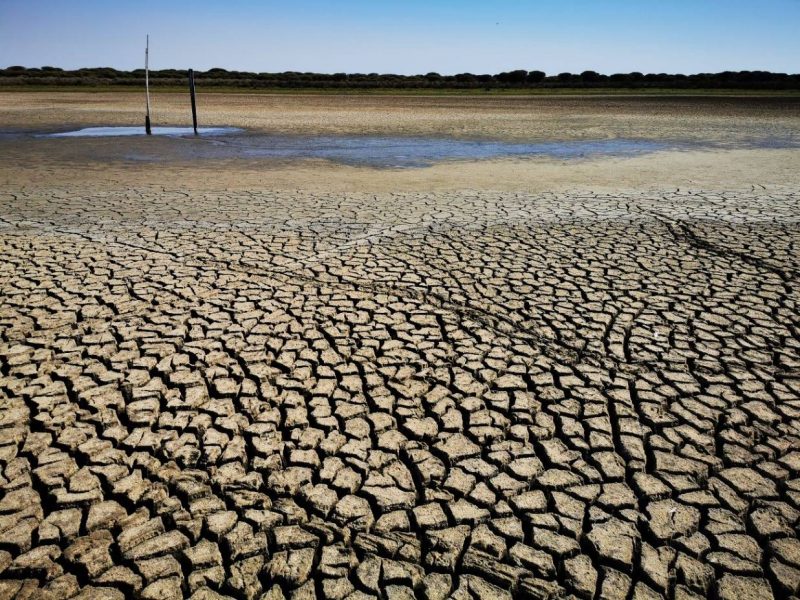 Ya no quedan lagunas permanentes de Doñana