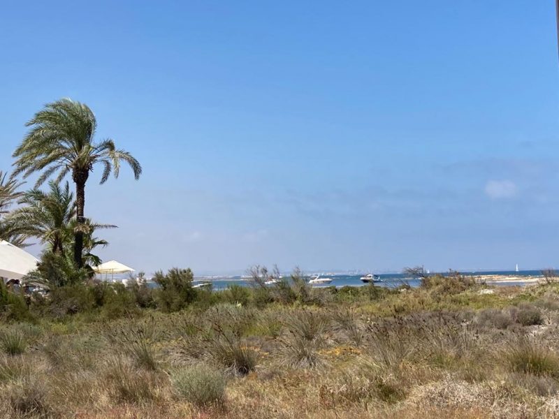 Collados Beach: contra viento, mareas y normas