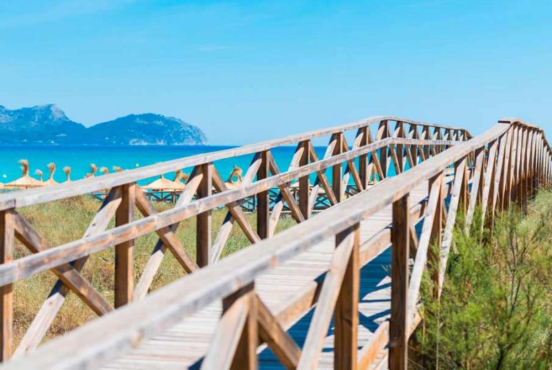 Corredor ecológico de humedales de la bahía de Alcudia.