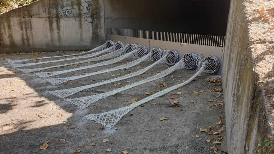 Contaminación del río Jarama