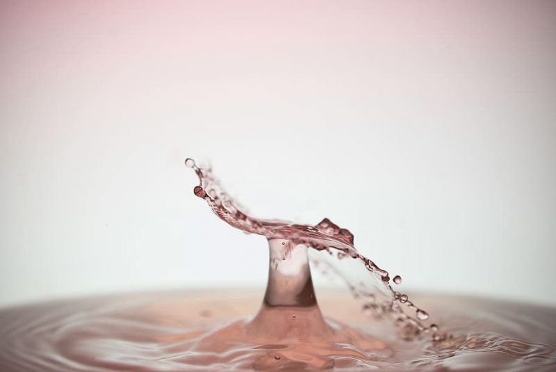 Día Mundial del Control de la Calidad del Agua 2022