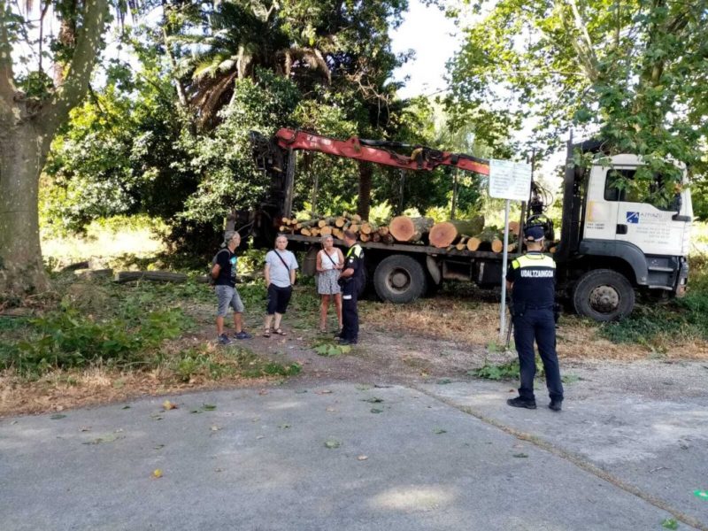 Barakaldo: STOP a la tala de árboles en Lutxana