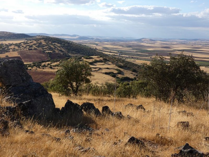 Protección de la biodiversidad en ecosistemas en Torrenueva