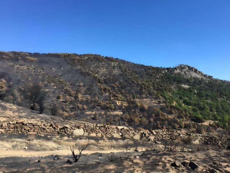 Fondos para las zonas afectadas por incendios forestales