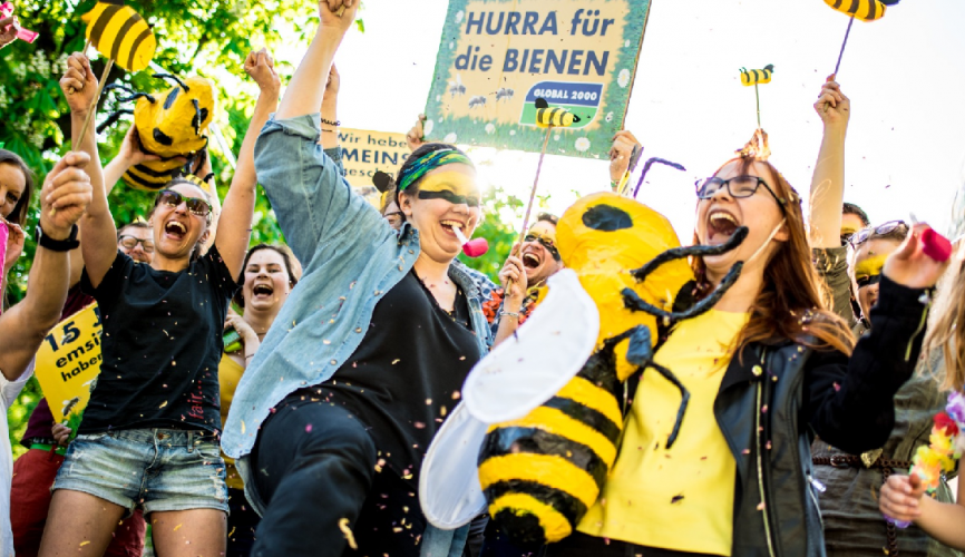 Luz verde para salvar a las abejas