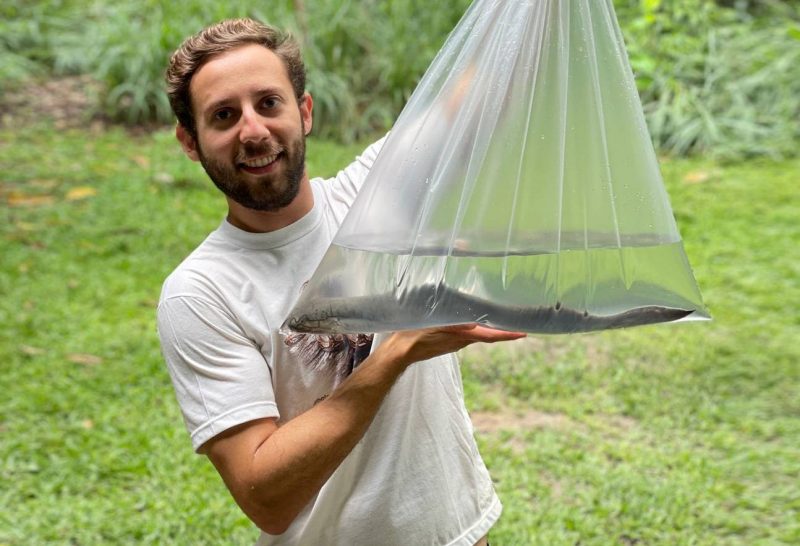 Comunicación entre vertebrados: ¿origen común?