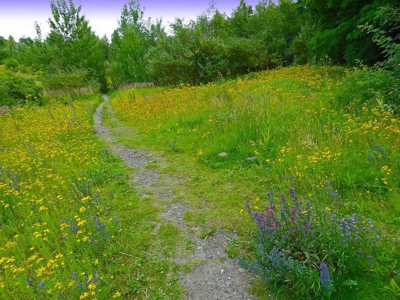 Cambios en la PAC serían nefastos