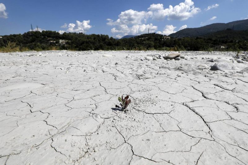 Hay más preocupación por el cambio climático que la guerra