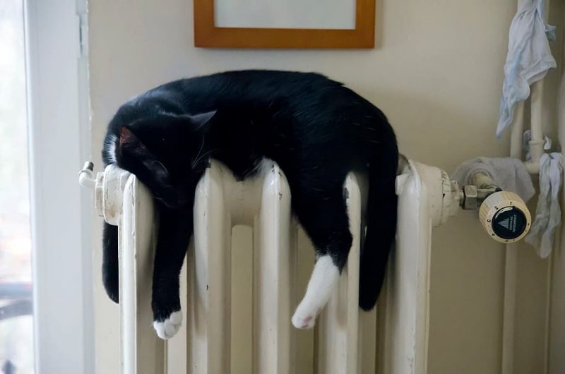 ¿Gas barato para un invierno 'calentito'?