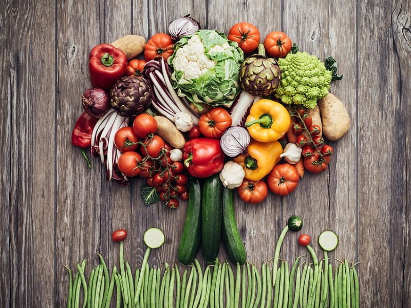 Día Mundial del Veganismo 2022