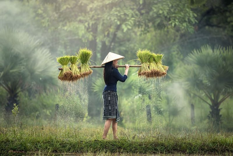 Día Internacional de las Mujeres Rurales 2022