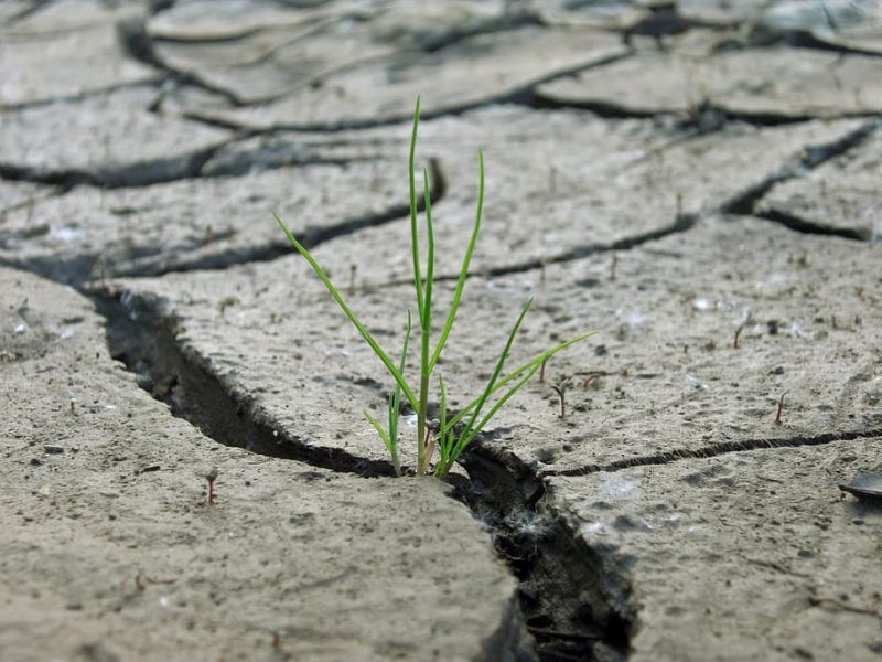 Reservas hídricas en estado crítico