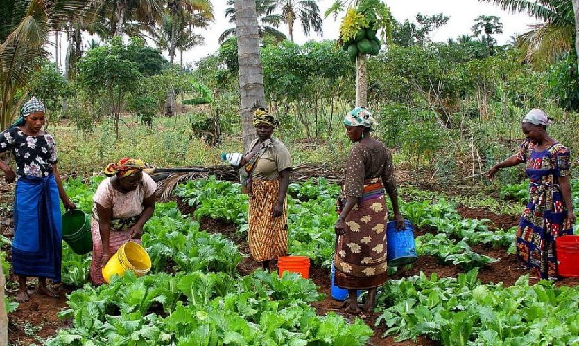 Día Internacional de las Mujeres Rurales 2022