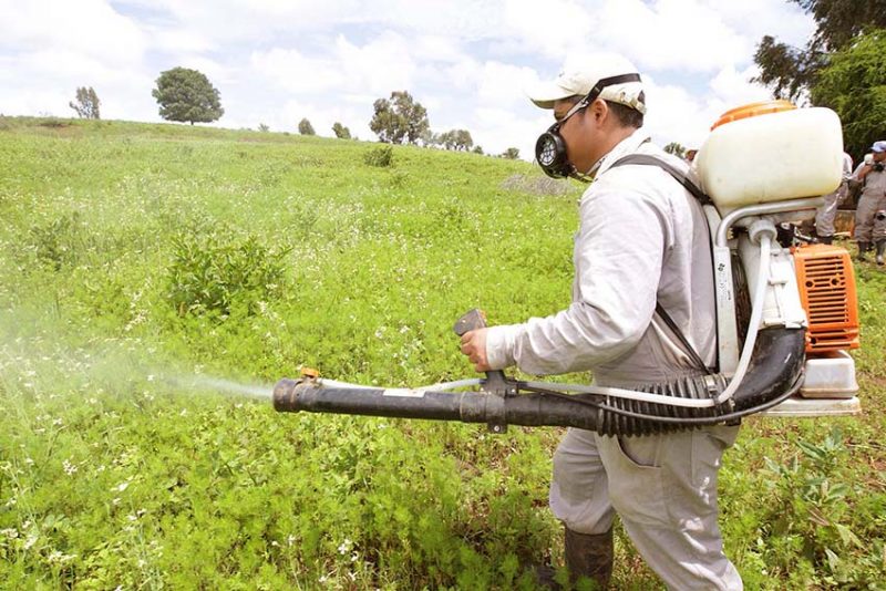 UE prohíbe algunos plaguicidas, pero su exportación si.