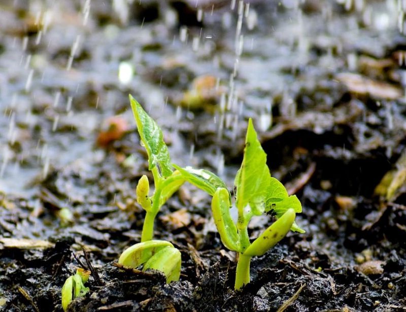 Observatorio de la Sostenibilidad del Regadío, ya era hora!