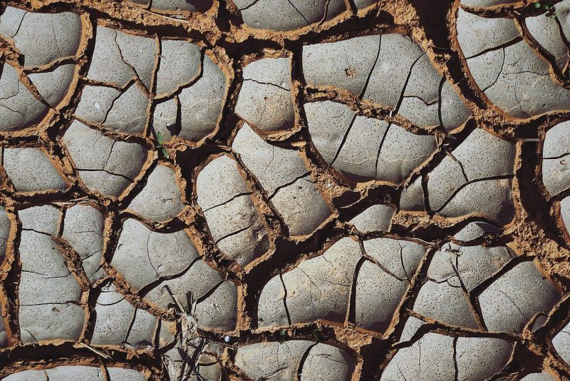 Cambios productivos en zonas más áridas