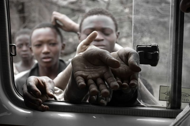 Día Mundial de la Alimentación 2022