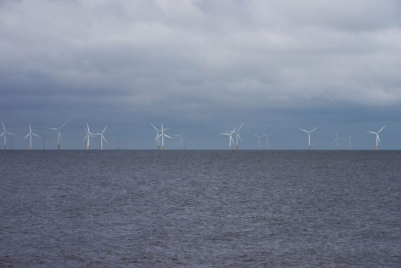 Urge el desarrollo de eólica marina