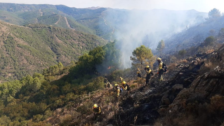 Situación laboral: bomberos forestales y agentes medioambientales
