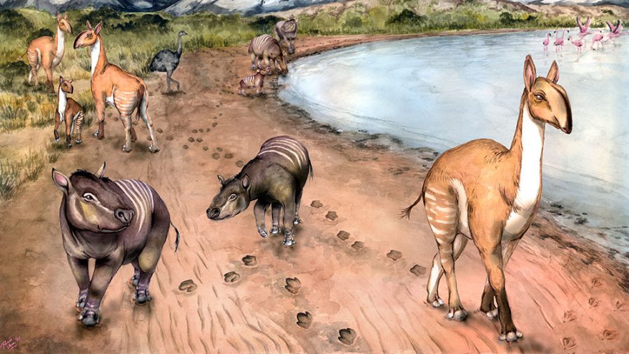 Argentina: mamíferos extintos