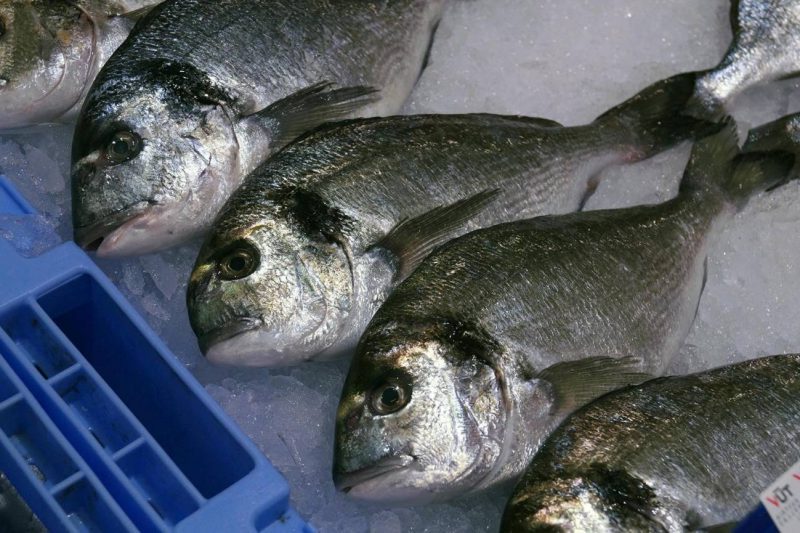 Pescados seguros y sin mercurio
