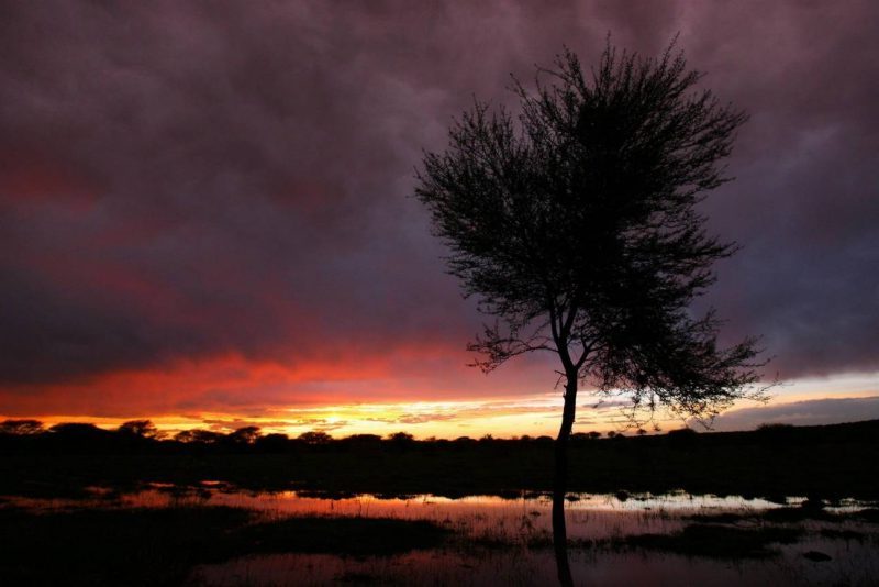 COP27: más calentamiento, peores consecuencias