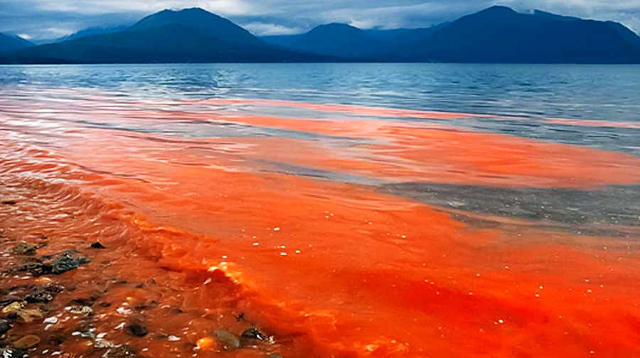 El cambio climático afectará a la Patagonia chilena