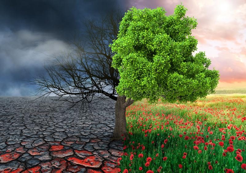 ¿Para cuándo la DAE del PEPAC?