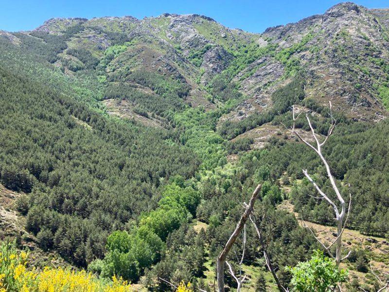 ¿Qué es un refugio climático?