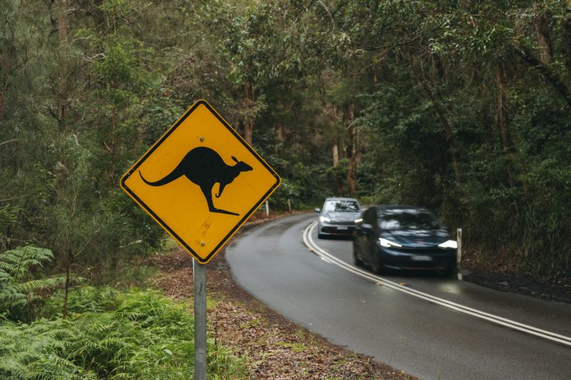 El CUPRA Born preparado para Australia