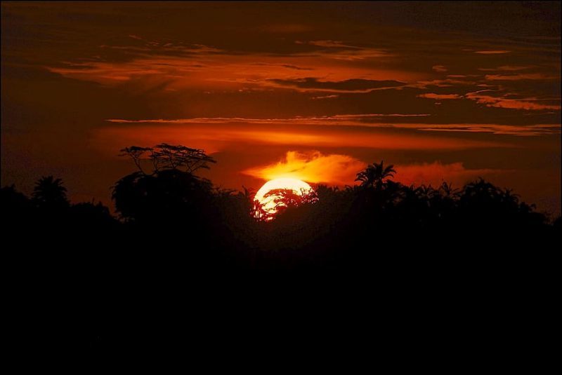 COP27 y el informe de la OMM