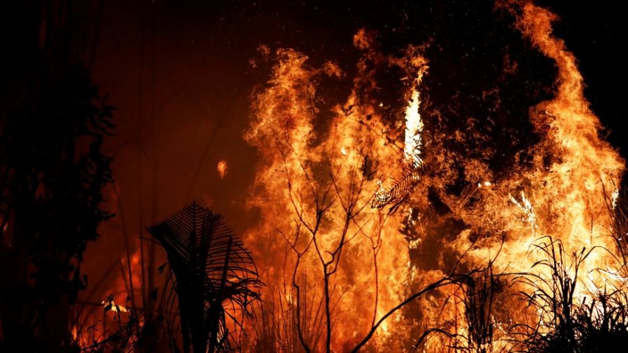 ¿El porqué de los incendios en la Amazonia?