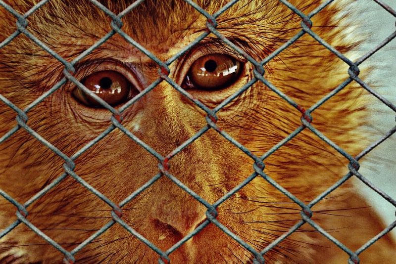 Conferencia EPAA 2022