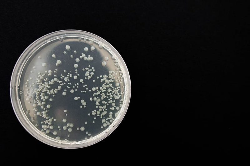 Día Mundial del uso Prudente de los Antibióticos 2022