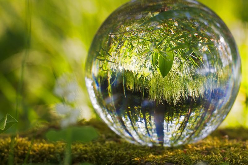 ¿Qué es la biocapacidad de la Tierra?