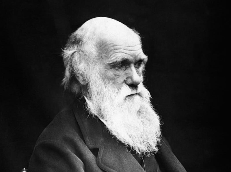 Día Mundial de la Evolución 2022