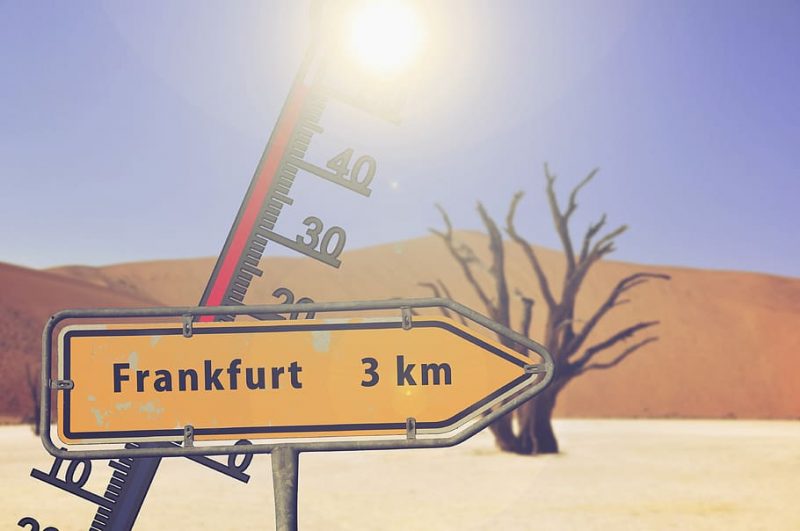 COP27 y el informe de la OMM