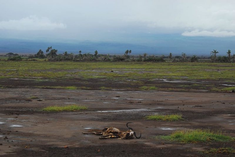 COP27: más calentamiento, peores consecuencias