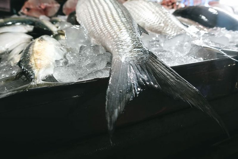 Más bienestar para los peces