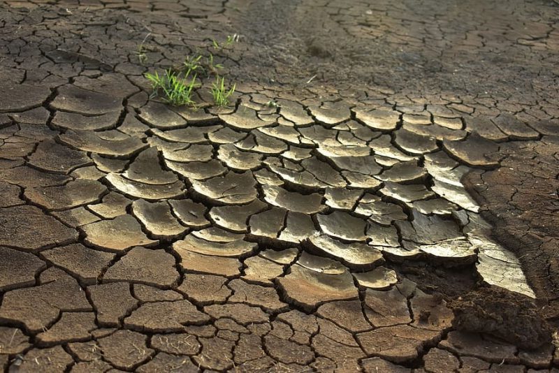 COP27: ¿quién combate eficazmente el cambio climático?