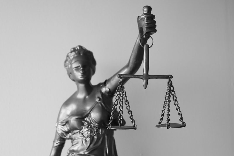 ¿Cómo se ejercerá el derecho ambiental?