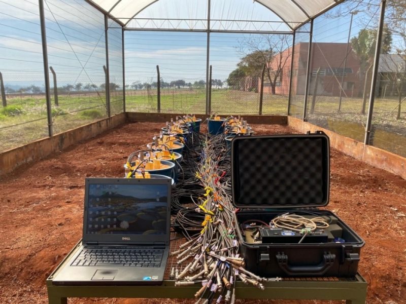 ¿Macetas autofertilizantes?