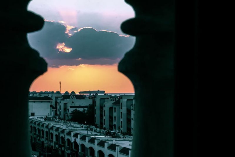 CREAF organización observadora en la COP27