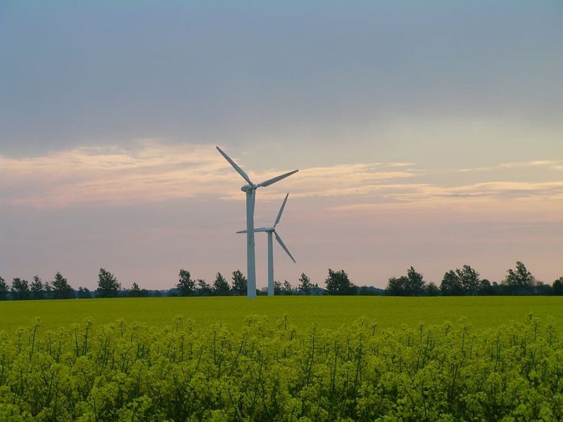 Los españoles a favor de la eólica.