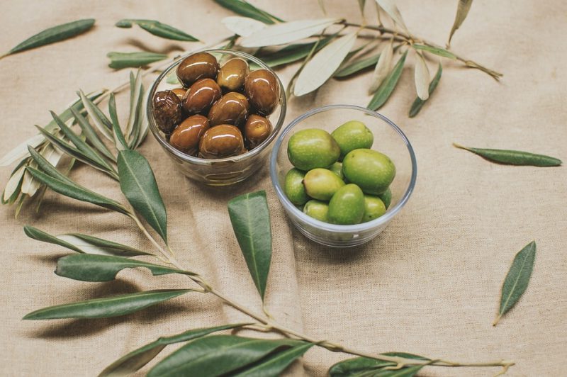 Día Mundial del Olivo 2022