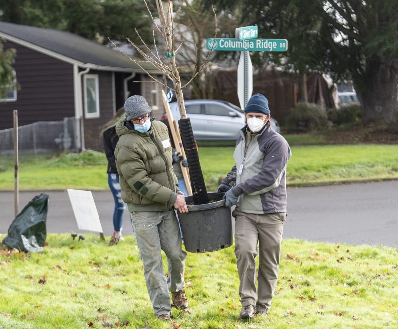 Plantando árboles para salvar vidas