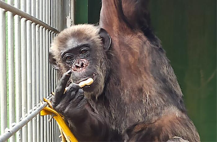 Por fin: justicia para Suzie