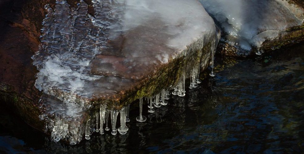 COP27: hay poco tiempo y mucho por hacer